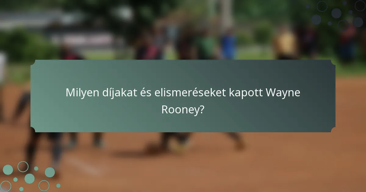 Milyen díjakat és elismeréseket kapott Wayne Rooney?