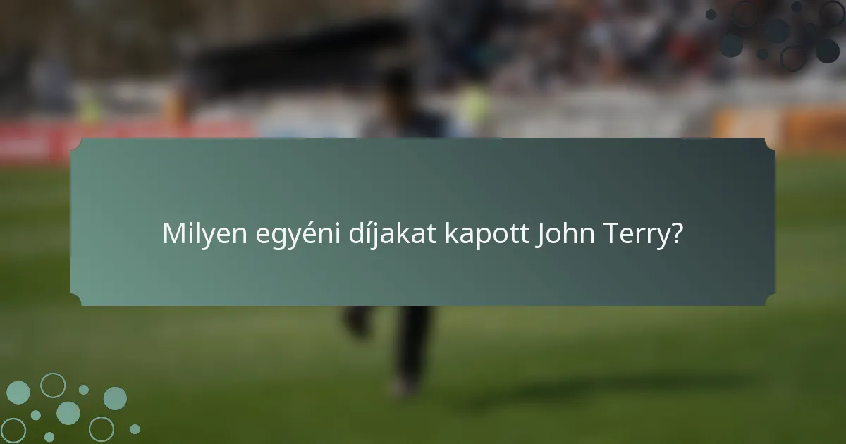 Milyen egyéni díjakat kapott John Terry?