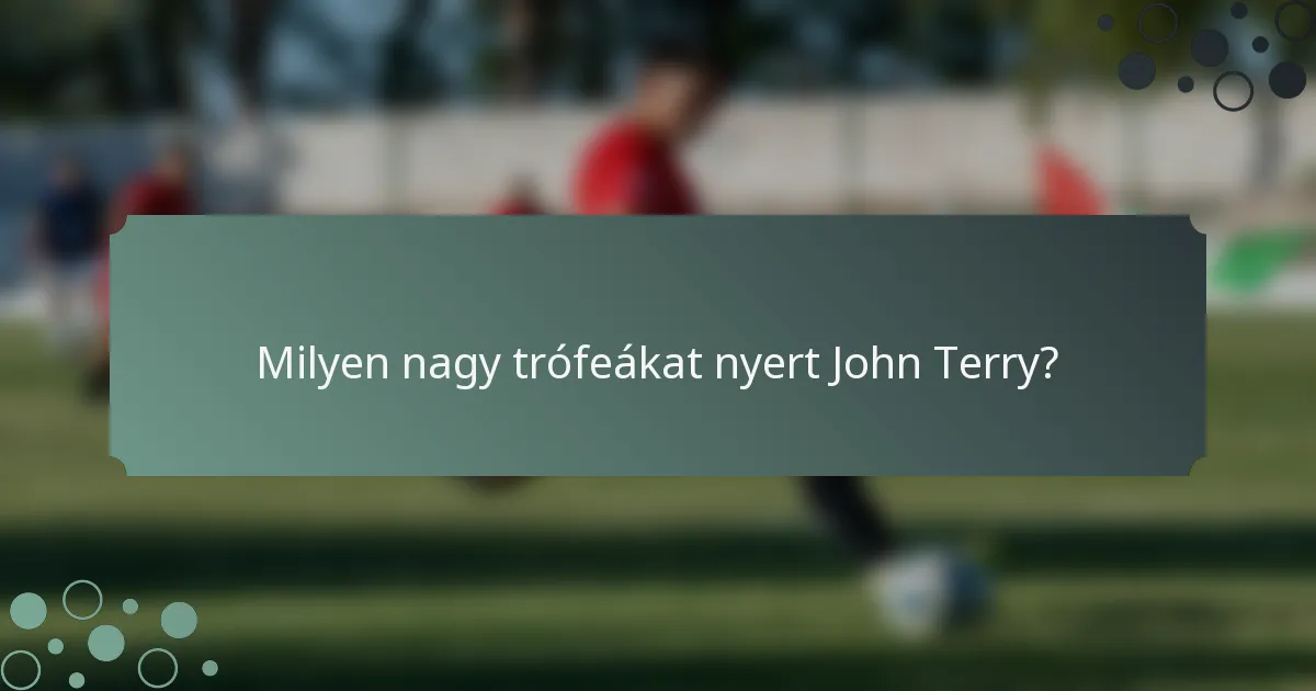 Milyen nagy trófeákat nyert John Terry?